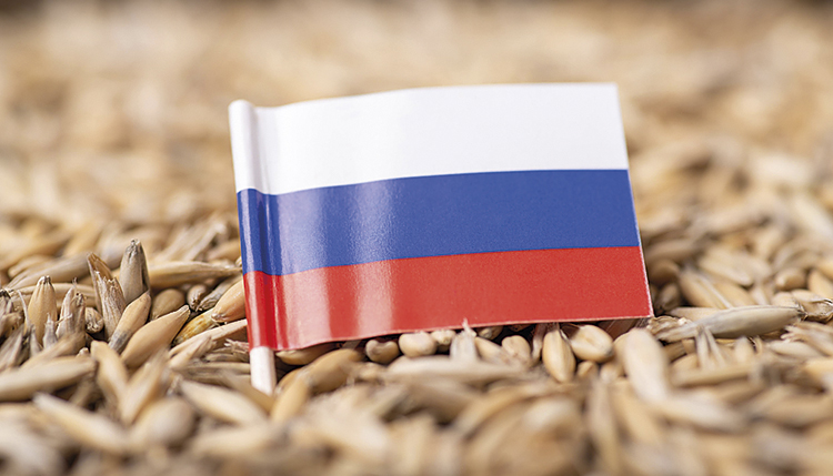 Россия будет наращивать доли расчетов за экспорт сельхозпродукции в рублях