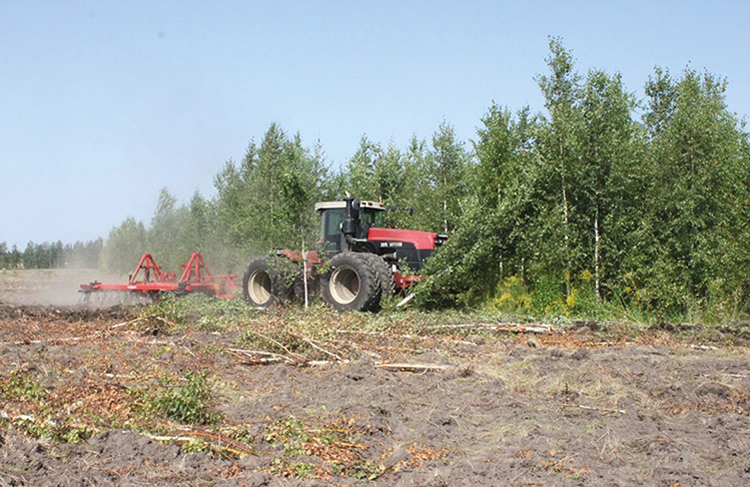 В Томской области введут в оборот более 20 тыс. га земель сельхозназначения